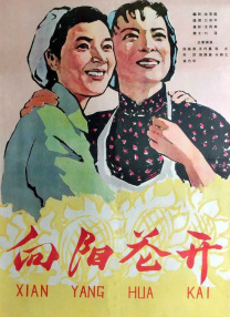 中文字幕一区波多野结衣