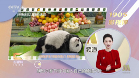 《极乐宝鉴》在线观看